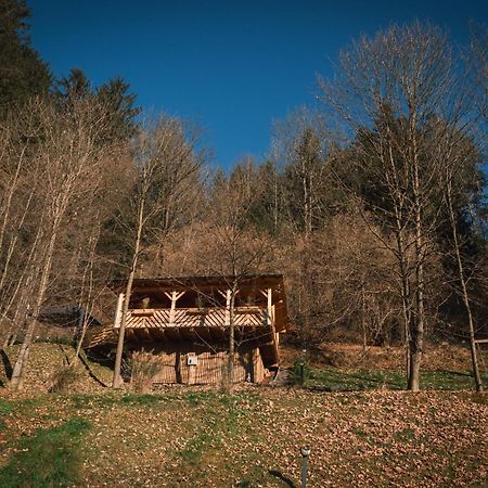 Hiska Na Samem V Slovenj Gradcu Slovenj Gradec Eksteriør billede